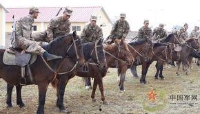 骑兵连在线观看,重温经典战火岁月 第3张 骑兵连在线观看,重温经典战火岁月 第3张