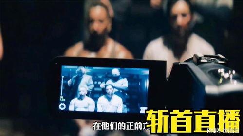 在线人观看,在线观众人数实时动态解析