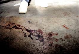 血腥片在线观看,在线惊悚片盛宴